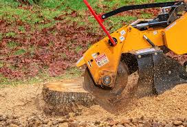 Best Lawn Renovation and Restoration  in Montalvin Manor, CA